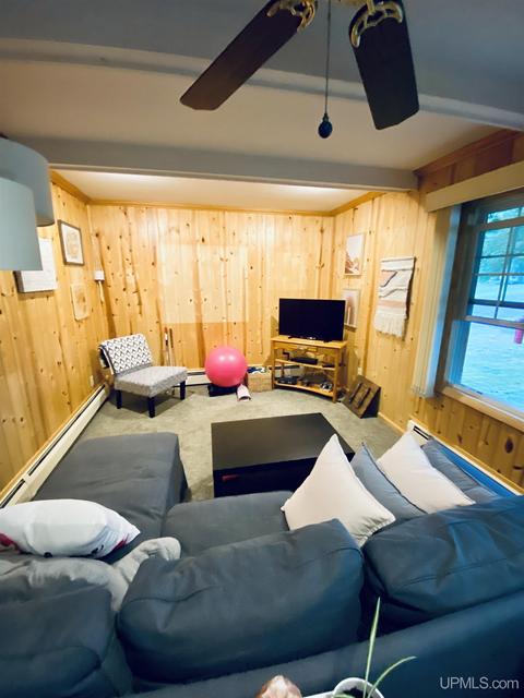 250 S Pansy St, Ishpeming, MI 49849 photo 18