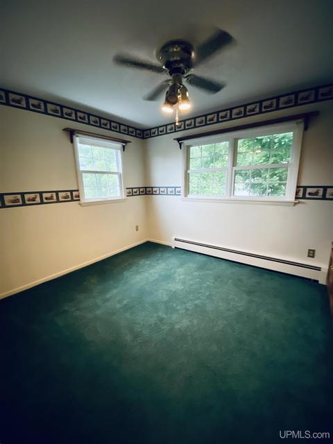250 S Pansy St, Ishpeming, MI 49849 photo 34