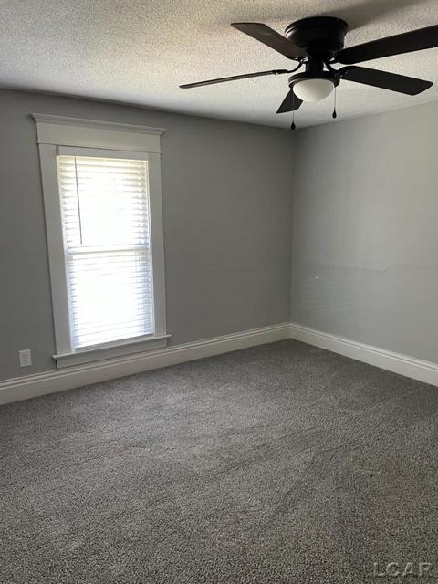 406 W Maple Ave, Adrian, MI 49221 photo 22