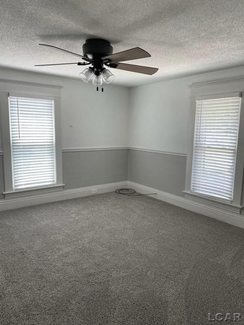 406 W Maple Ave, Adrian, MI 49221 photo 15