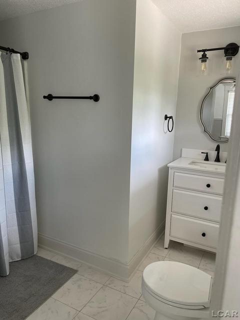 406 W Maple Ave, Adrian, MI 49221 photo 17