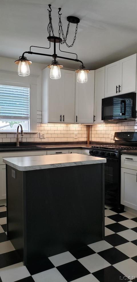 406 W Maple Ave, Adrian, MI 49221 photo 4