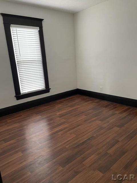 406 W Maple Ave, Adrian, MI 49221 photo 10