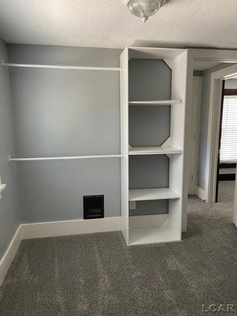 406 W Maple Ave, Adrian, MI 49221 photo 19