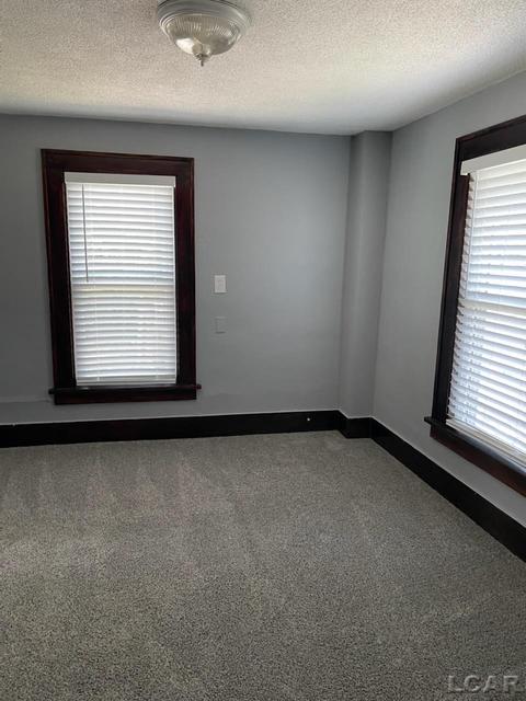 406 W Maple Ave, Adrian, MI 49221 photo 21