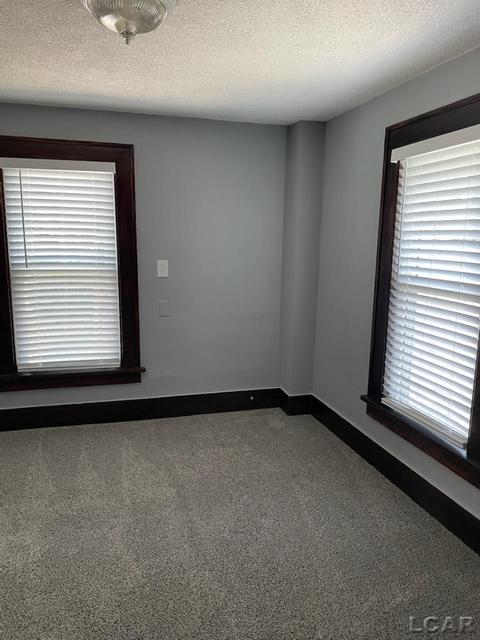 406 W Maple Ave, Adrian, MI 49221 photo 23