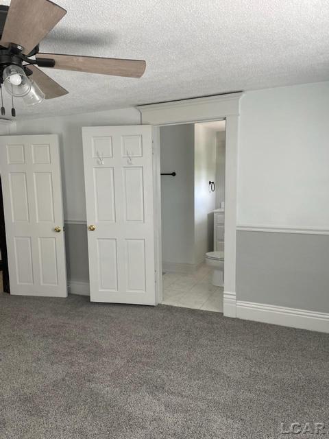 406 W Maple Ave, Adrian, MI 49221 photo 16