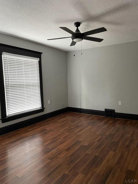 406 W Maple Ave, Adrian, MI 49221 photo 7