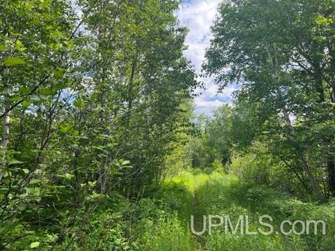 63 Acres M69, Crystal Falls, MI 49920