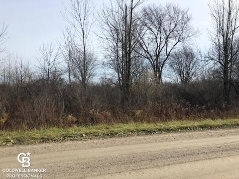 00 Cowhy Rd Parcel B, Memphis, MI 48041