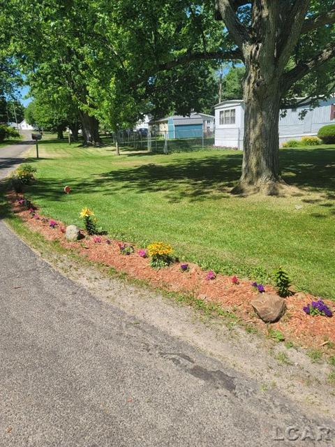 1094 Davis St, Adrian, MI 49221 photo 40