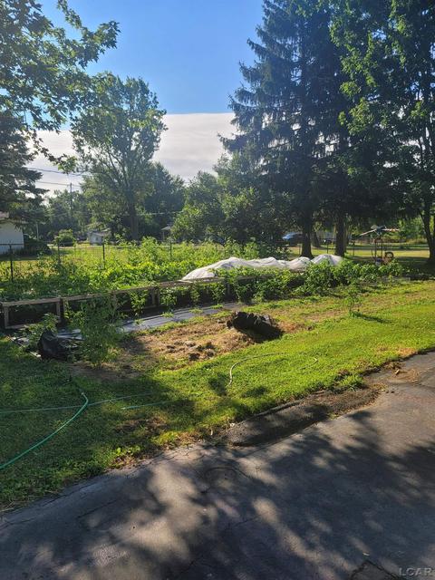 1094 Davis St, Adrian, MI 49221 photo 39
