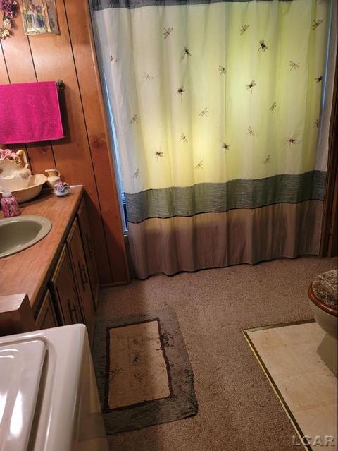 1094 Davis St, Adrian, MI 49221 photo 15