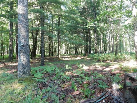 3217 W River Dr, Gladwin, MI 48624 photo 6