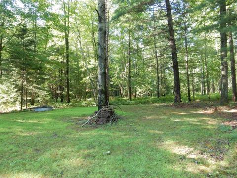 3217 W River Dr, Gladwin, MI 48624 photo 7
