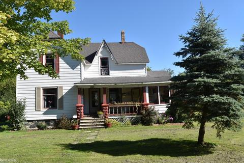 8542 Morris, Goodells, MI 48027 photo 1