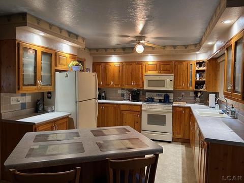 450 Oden Way, Adrian, MI 49221 photo 3