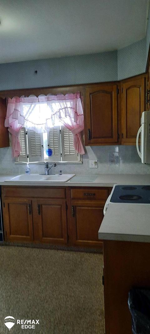 5995 E M 71, Corunna, MI 48817 photo 5