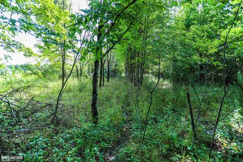 80700 Coon Crk, Armada, MI 48005 photo 32