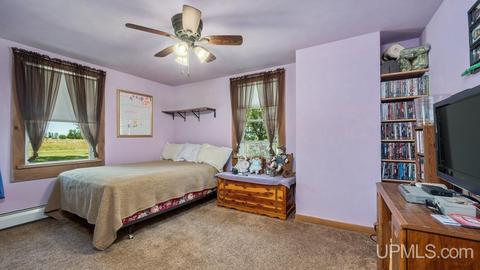 2428 17th Rd, Bark River, MI 49807 photo 18