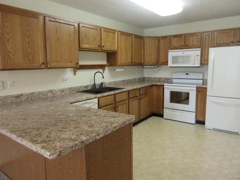 1601 Carriage Dr, Tecumseh, MI 49286 photo 14