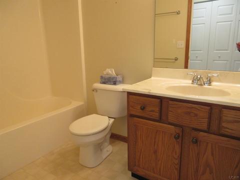 1601 Carriage Dr, Tecumseh, MI 49286 photo 25