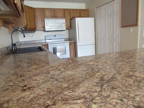 1601 Carriage Dr, Tecumseh, MI 49286 photo 24