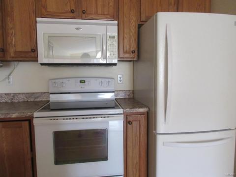1601 Carriage Dr, Tecumseh, MI 49286 photo 23