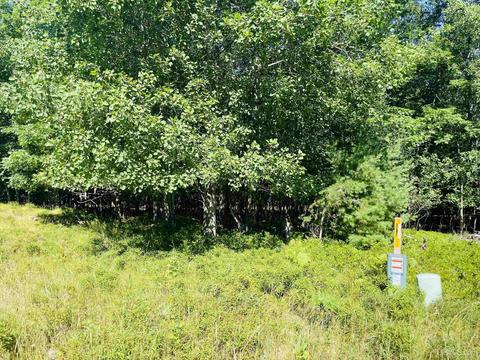Lot 9 Irish Oaks Estates, Gladstone, MI 49837