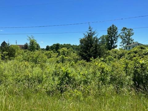 0 E Wilson, Clio, MI 48420
