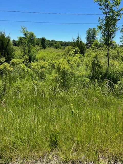 0 E Wilson, Clio, MI 48420 photo 3