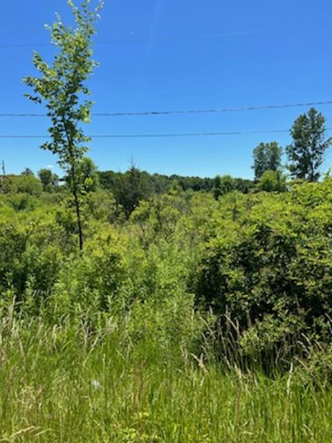 0 E Wilson, Clio, MI 48420 photo 2