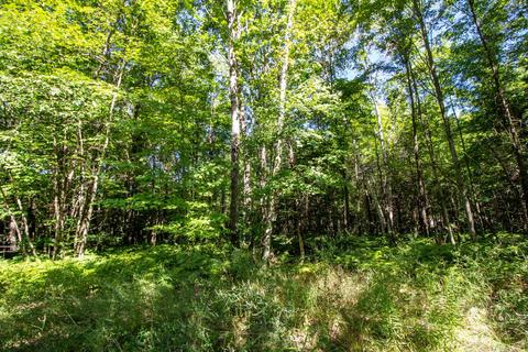 5955 N Jackson Ave, Harrison, MI 48625 photo 9