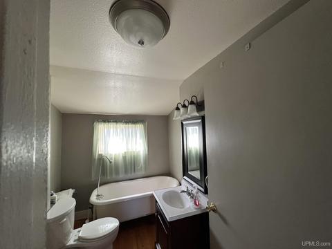 55 Gregory, Lake Linden, MI 49945 photo 9