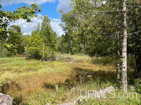 6715 Brule Bridge Rd, Florence, WI 54121 photo 22
