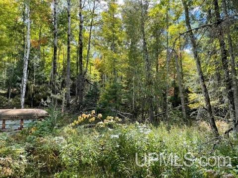 6715 Brule Bridge Rd, Florence, WI 54121 photo 20