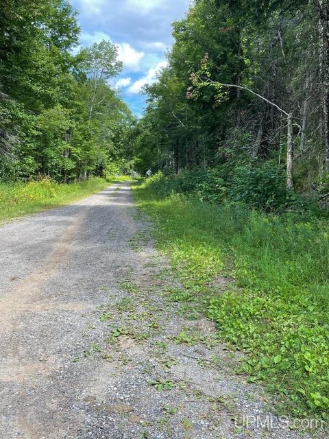 6715 Brule Bridge Rd, Florence, WI 54121 photo 29