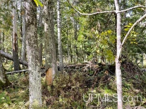 6715 Brule Bridge Rd, Florence, WI 54121 photo 21