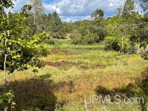 6715 Brule Bridge Rd, Florence, WI 54121 photo 19