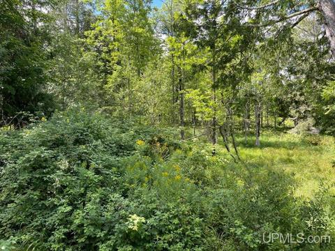 6715 Brule Bridge Rd, Florence, WI 54121 photo 26