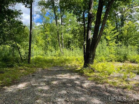 6715 Brule Bridge Rd, Florence, WI 54121 photo 25