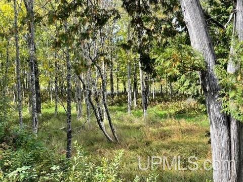 6715 Brule Bridge Rd, Florence, WI 54121 photo 17