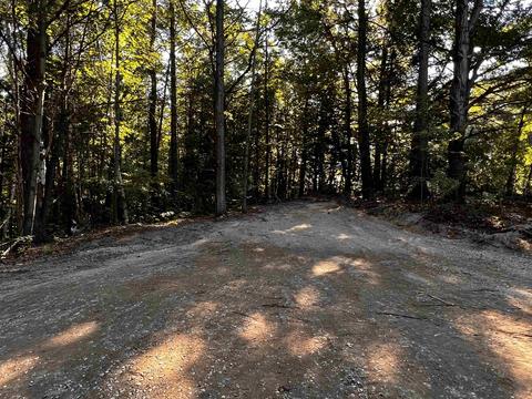 8923 E Gladwin, Harrison, MI 48624 photo 3
