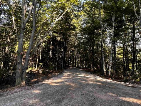 8923 E Gladwin, Harrison, MI 48624 photo 2
