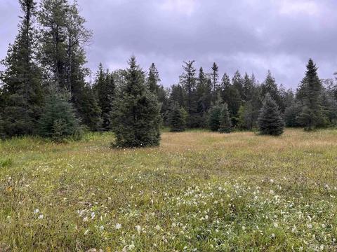 54868 County Rd 426, Arnold, MI 49819 photo 25