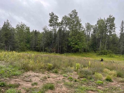 54868 County Rd 426, Arnold, MI 49819 photo 24