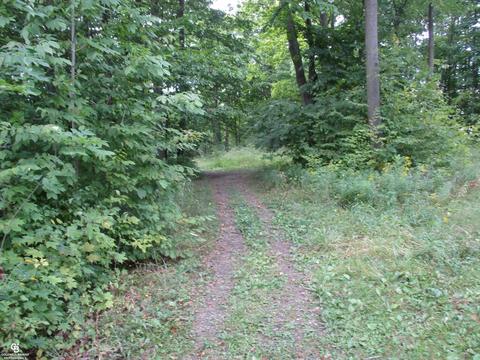 0 Fox Ridge 1-a, Berlin Twp, MI 48002