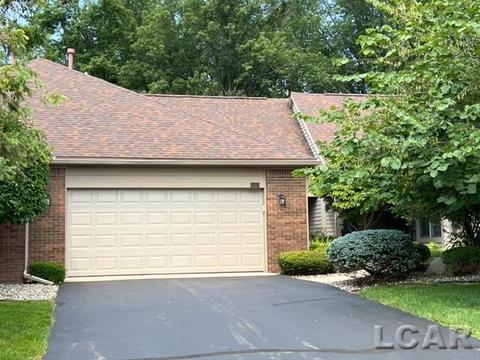 480 Richlyn Dr, Adrian, MI 49221 photo 1
