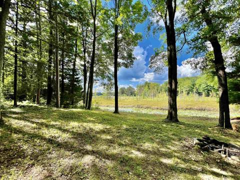 5320 Jerry, Gladwin, MI 48624 photo 16