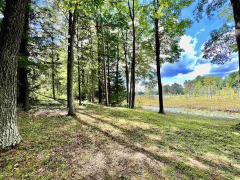 5320 Jerry, Gladwin, MI 48624 photo 15